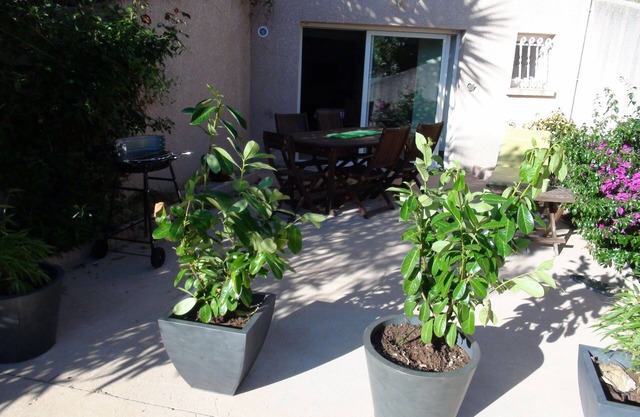 Location Appartement Alata Proche Ajaccio