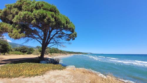 Location de vacances