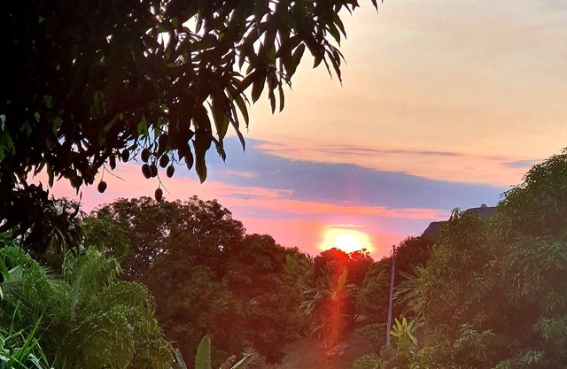 Lodge on stilts, less than 10 minutes from the beach!