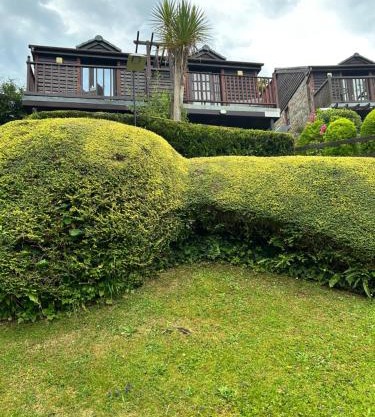 Looe, Cornwall, Homehill Cottage - quiet location and views