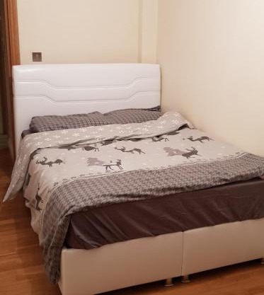 Lovely 2 Bedroom Flat near to Finsbury park station