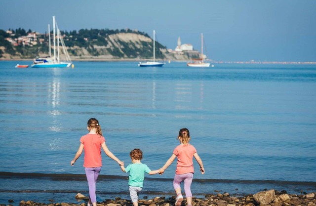 Lovely apartment with pool, A/C, WIFI, TV, terrace, pets allowed, panoramic view and parking