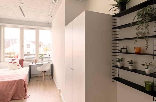 Lovely Studio with kitchen