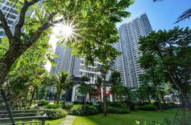 Luna's Splendid Home