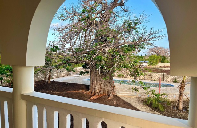 Luxurious 1-bedroom apartment on the first upper floor