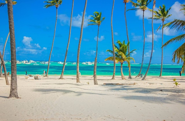 Luxury 2 Bedrooms 4 Guest pool+wifi OCEAN VIEW