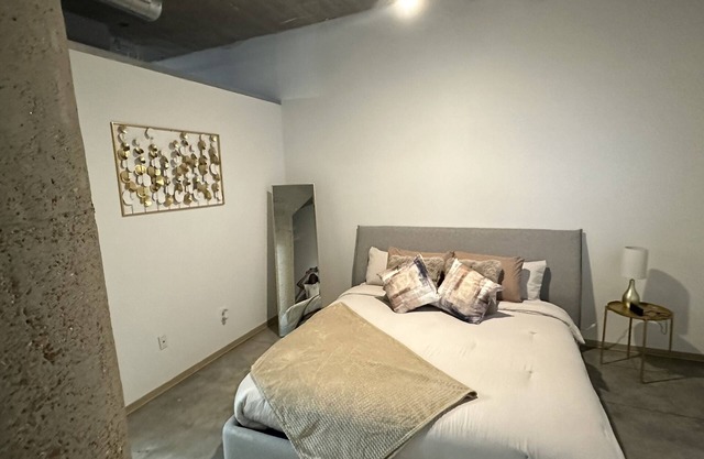 Luxury Cozy Loft Downtown STL