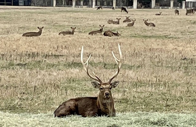 Luxury Guadalupe Riverfront Lodge!