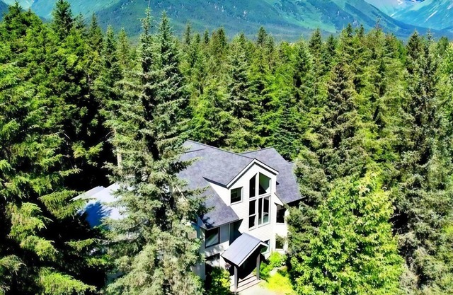 Luxury - Huge kitchen, living room, master bedrooms & mtn views. Walk to lifts!