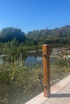 Luxury mini lodge with lakeside views