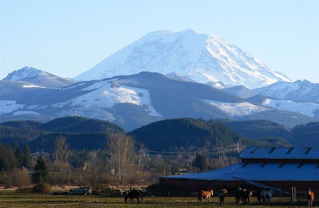 Luxury near Gateway to Mt Rainier and National Forests. Veteran Owned.
