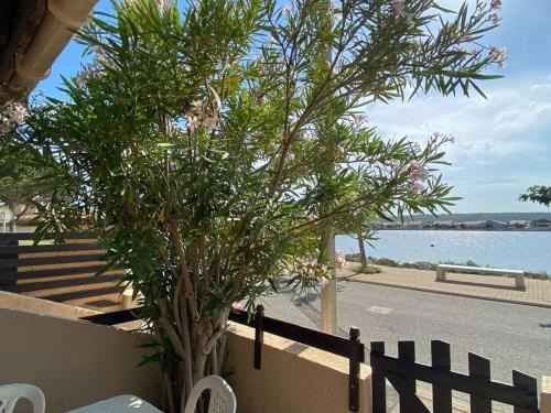 Maison 2 pièces, cabine, 6 pers, plage à 400m, parking, terrasse - FR-1-229C-187