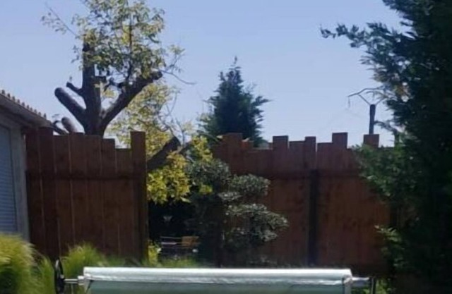 Maison Climatisée Plain-pied Avec Piscine