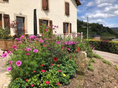 Maison rénovée près des Hautes Vosges, idéale pour activités nature - FR-1-589-696
