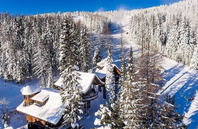 Make Memories at this luxe treehouse; hot tub; PS5; direct trail/slope access