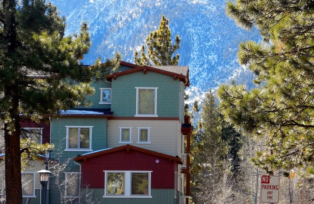Mammoth Green, near Eagle Lodge/Chair 15; 3 BR, pets ok