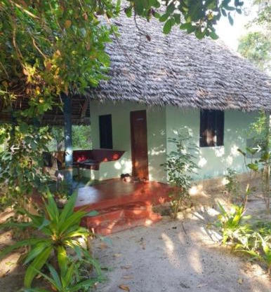 Mangrove Beach Bungalows