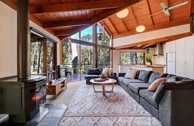 Manna Gum - Base of Buller