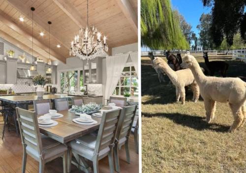 @ Marbella Lane - Alpaca Farm House Pool