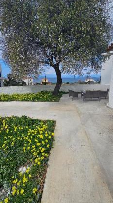 Maria's place Agkistri