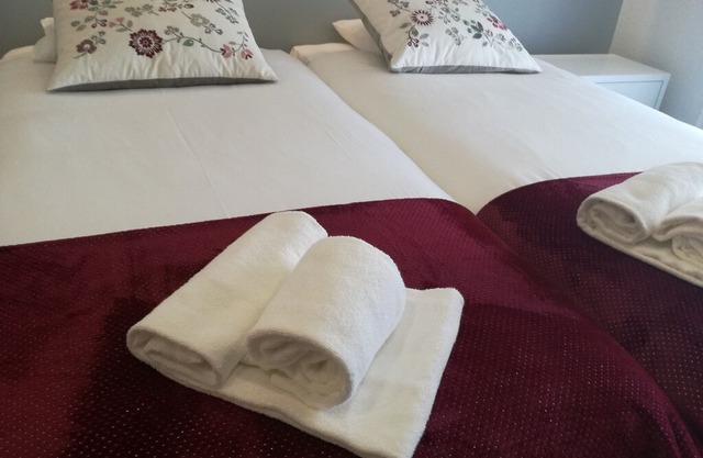 Maria Violeta Tourism Apartment - Studio Apartment
