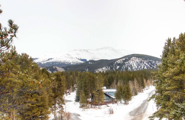 Mark IX #7: Outstanding Location - Close to Town and Slopes - Free Shuttle