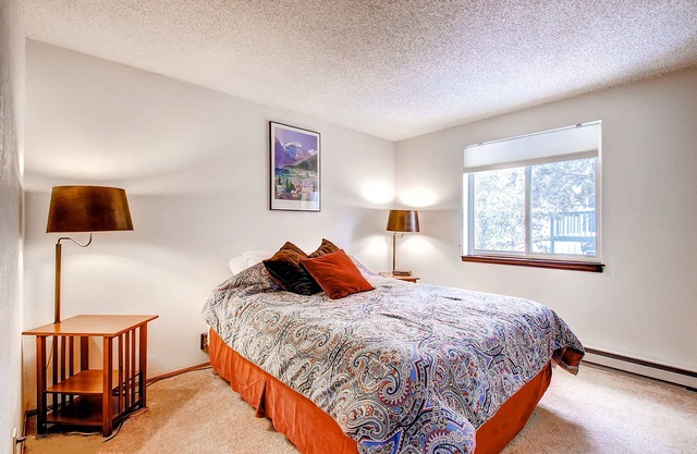Mark IX #9: Outstanding Location - Close to Town and Slopes - Free Shuttle