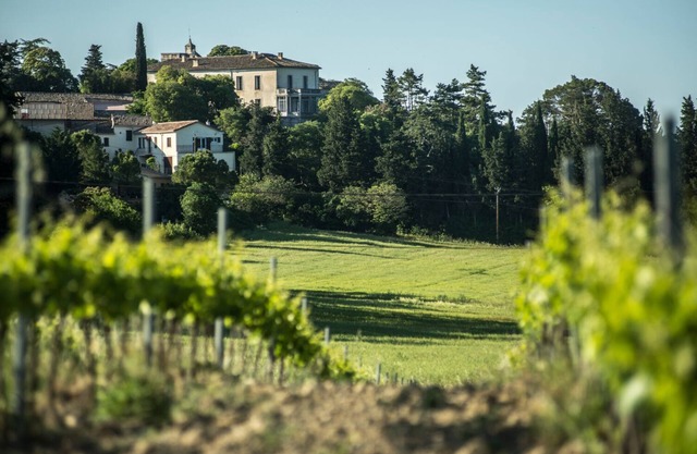 Mas de Puechredon, Grande Demeure Familiale au Coeur D'un Domaine Viticole !