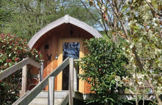 mega pod 4 - a mega pod that sleeps 4 guests in 1 bedroom