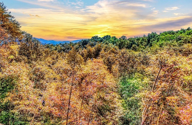 Mighty Birdsong: 2 New Cabins w/Hot Tubs, Indoor Pools, Mtn Views, Firepit