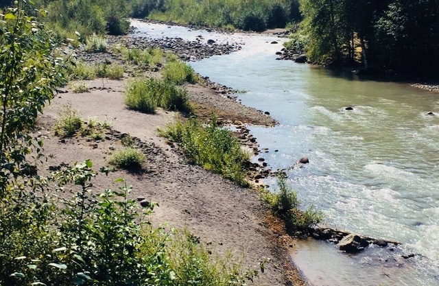 Million Dollar Sandy River View On Beautiful Mt. Hood!