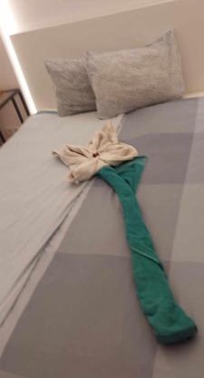 Miracle apartman