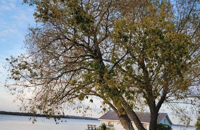 Modern 4 bedroom cottage with high speed internet and Central AC