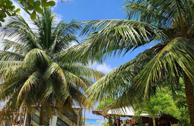 Modern Beachfront 1BR, 1.5 BATH + Parking