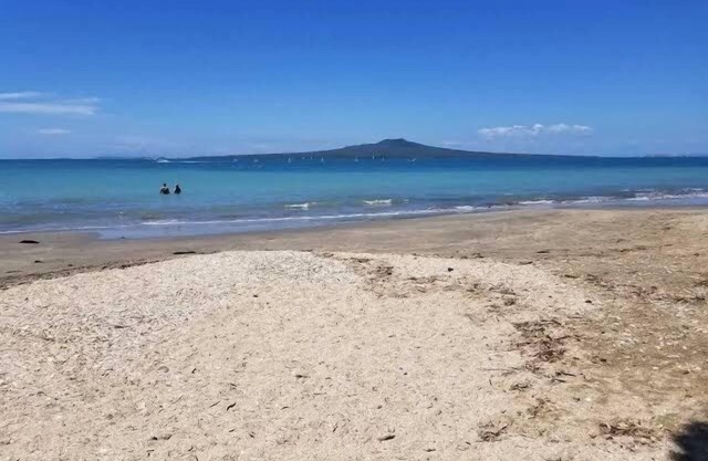 Modern Home Takapuna | WI-FI | near Beach & CBD