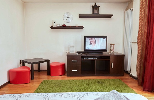Modern studio on Romana Square