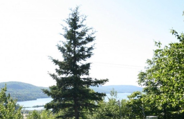 Mont Tremblant - Algonquin 122-07