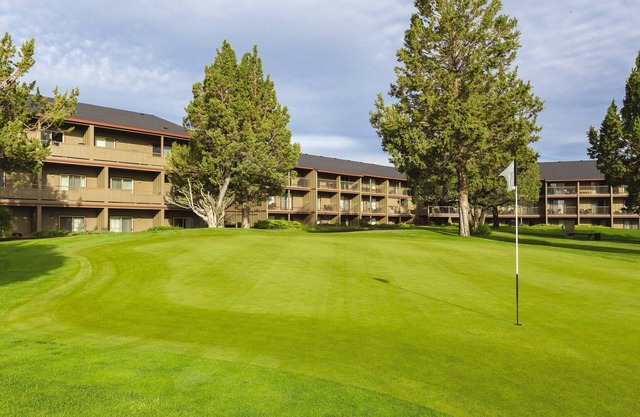 More fun than you can do with so little time !