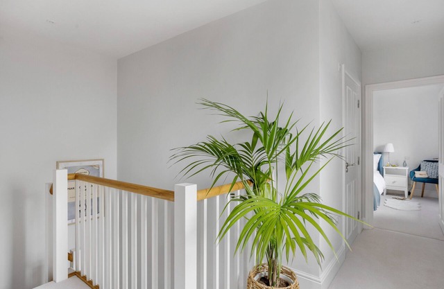 Morford House in Exeter