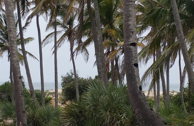 Morrumbene Beach Resort