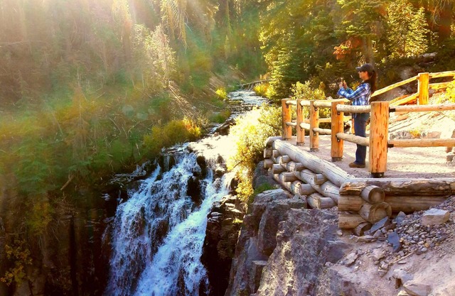 Mount Lassen Big Cabin on 1.6 Acres of Forest, Lots of bedrooms, No Neighbors
