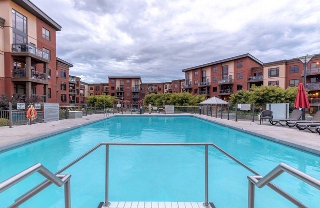 Mountain View Penthouse