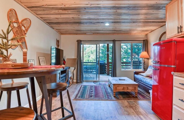 MTN Town Escape - the Fox Den, 1 Bdrm luxury Apt