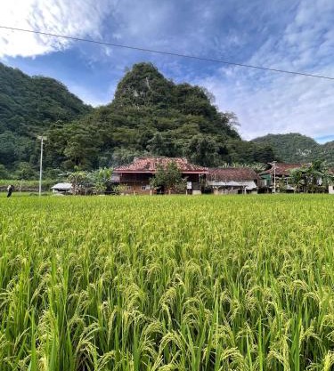 Nùng An homestay