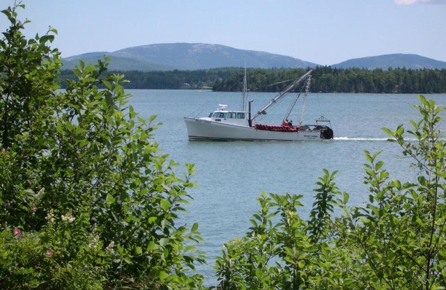 Narrows Too Camping Resort Cabin 6