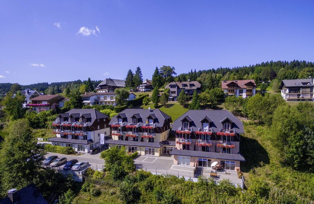 Nature Titisee