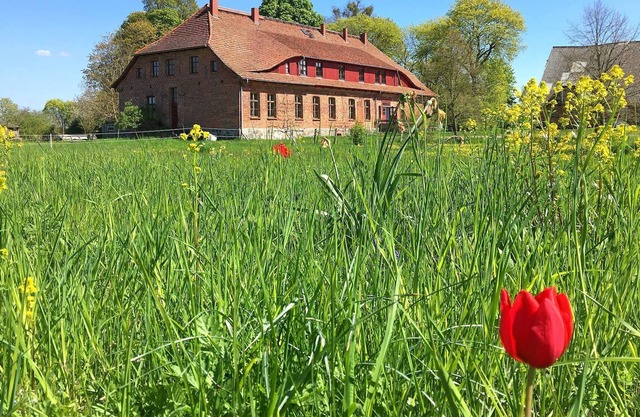 Naturnahes, Dörfliches Gruppenhaus Friedrichshof SEE 11251 - SEE 11251