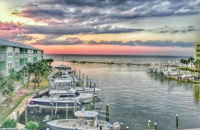 Harbor 