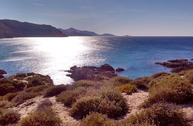 Near Iles Rousse air-conditioned apartment with swimming pool 4 people near the sea