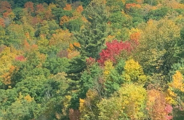 Near Windham & Hunter 2 Bedroom Home with Hot Tub